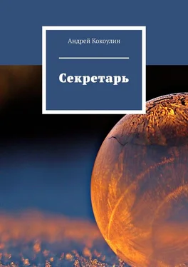 Андрей Кокоулин Секретарь обложка книги