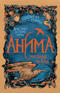 Екатерина Соболь Медная чайка [litres] обложка книги