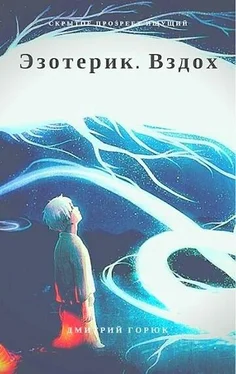 Дмитрий Горюк Вздох обложка книги
