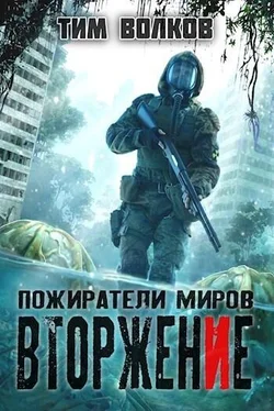 Тим Волков Вторжение [СИ] обложка книги