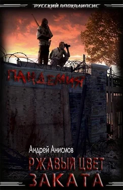 Андрей Анисмов Ржавый цвет заката [СИ] обложка книги
