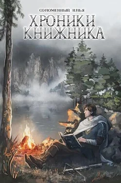 Илья Соломенный Странник обложка книги