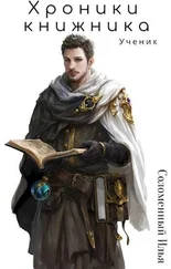 Илья Соломенный - Ученик