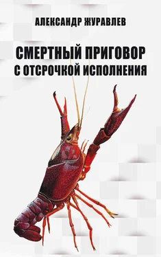 Александр Журавлев Смертный приговор с отсрочкой исполнения обложка книги