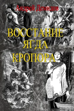 Андрей Демидов Восстание ягда Кропора обложка книги