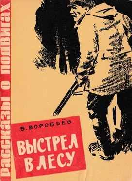 Владимир Воробьёв Выстрел в лесу [Рассказ] обложка книги