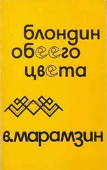 Владимир Марамзин - Блондин обеего цвета. Взаимная повесть. [Сюрреалистический рассказ]
