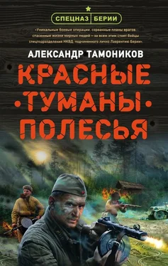 Александр Тамоников Красные туманы Полесья обложка книги