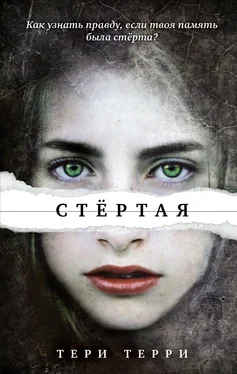 Тери Терри Стёртая [litres] обложка книги