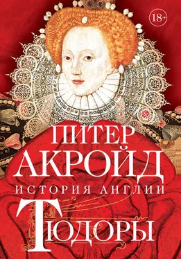 Питер Акройд Тюдоры. От Генриха VIII до Елизаветы I обложка книги