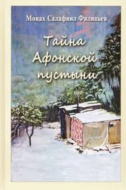 Монах Салафиил (Филипьев) Тайна Афонской пустыни. Дневник пустынножителя