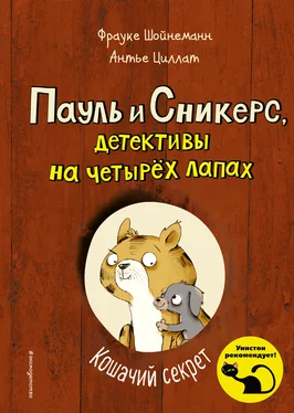 Фрауке Шойнеманн Кошачий секрет обложка книги