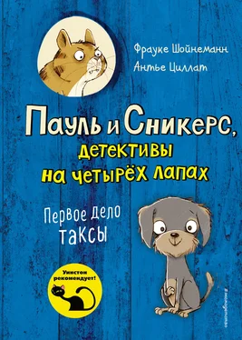 Фрауке Шойнеманн Первое дело таксы обложка книги