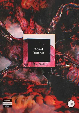 Андрей Черный Total Dream обложка книги