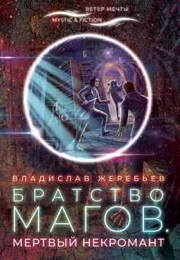 Владислав Жеребьёв Братство магов. Мертвый некромант [litres] обложка книги