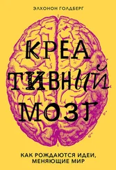 Элхонон Голдберг - Креативный мозг [Как рождаются идеи, меняющие мир] [litres]