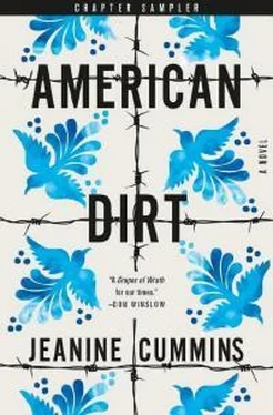 Cummins Jeanine American Dirt : A Novel (2020) обложка книги