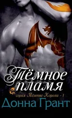 Донна Грант - Тёмное пламя