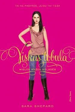 Сара Шепард Viskas tobula обложка книги