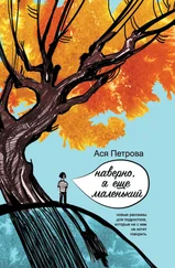 Анастасия Петрова - Наверно, я еще маленький [litres]