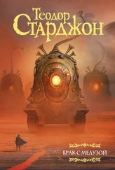 Теодор Старджон - Брак с Медузой [сборник litres]