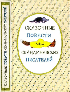 Синкен Хопп Сказочные повести скандинавских писателей обложка книги