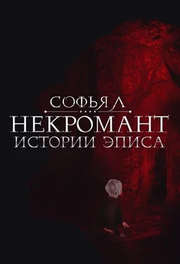 Софья Липатова Некромант [СИ] обложка книги
