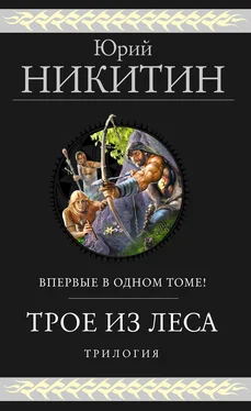 Юрий Никитин Трое из Леса. Трилогия [litres] обложка книги