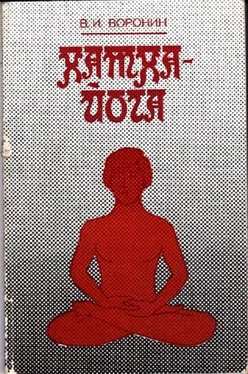 Виктор Воронин Хатха-йога обложка книги