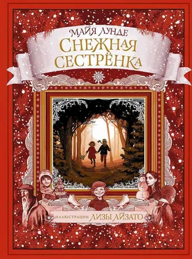 Майя Лунде Снежная сестрёнка обложка книги