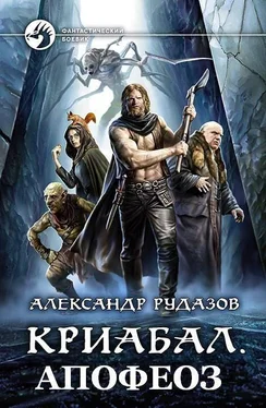 Александр Рудазов Апофеоз обложка книги