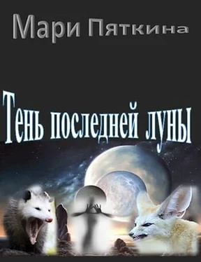 Мари Пяткина Тень последней луны обложка книги