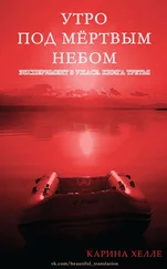 Карина Хелле - Утро под мертвым небом