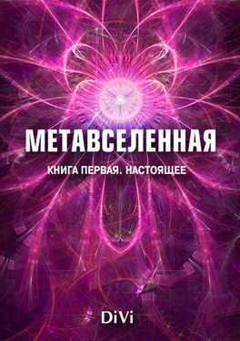 Владимир Довгань Метавселенная. Книга первая: настоящее обложка книги