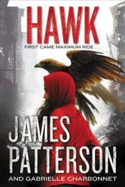 Джеймс Паттерсон Hawk обложка книги