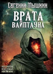 Евгений Мышкин - Врата Вайптауна [СИ]