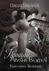 Стелла Странник - Прощай, Ариана Ваэджа! [СИ]