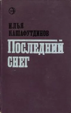 Ильгиз Кашафутдинов Последний снег обложка книги