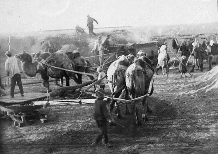 Илл 41 Молотьба в казахском колхозе Павлодарская область 1930е годы - фото 16