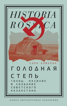 Сара Камерон Голодная степь: Голод, насилие и создание Советского Казахстана обложка книги