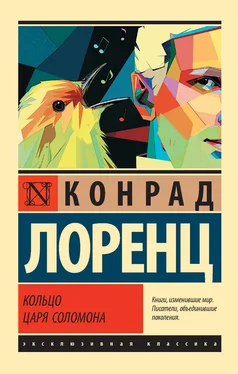 Конрад Лоренц Кольцо царя Соломона [litres] обложка книги