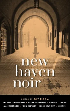 Джон Краули New Haven Noir обложка книги