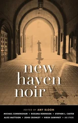 Джон Краули - New Haven Noir
