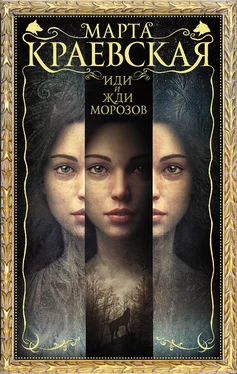 Марта Краевская Иди и жди морозов [litres] обложка книги