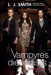 L Smith - Šešėlių sielos. Vampyrės dienoraštis