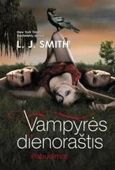 L Smith - Vampyrės dienoraštis • Pabudimas