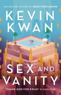 Kwan Kevin Sex and Vanity обложка книги