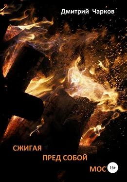 Дмитрий Чарков Сжигая пред собой мосты обложка книги