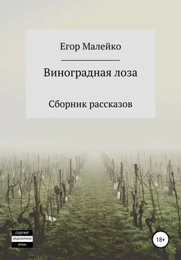 Егор Малейко Виноградная лоза. Сборник рассказов обложка книги