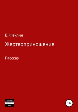Владимир Феклин Жертвоприношение обложка книги
